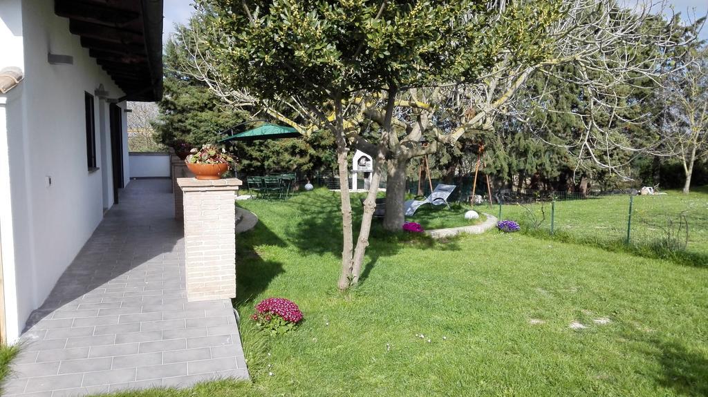 Il Piccolo Rifugio - L'Angoletto Palidoro Quarto foto